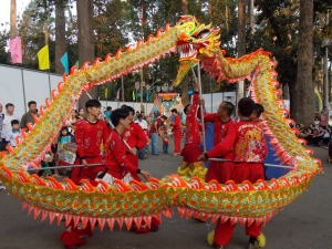 Tet (Lunar New Year) festivities in Tao Dan Park